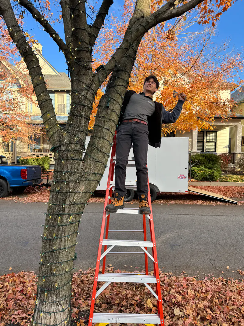 Installer on a ladder in a tree on an autumn afternoon, the work trailer parked behind